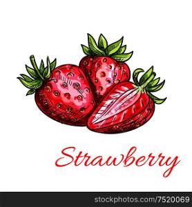 Strawberry color sketch icon. Isolated bunch of strawberries with leaves. Fruit product vector emblem for juice or jam label, packaging sticker, grocery shop tag, farm store. Strawberry isolated color sketch icon