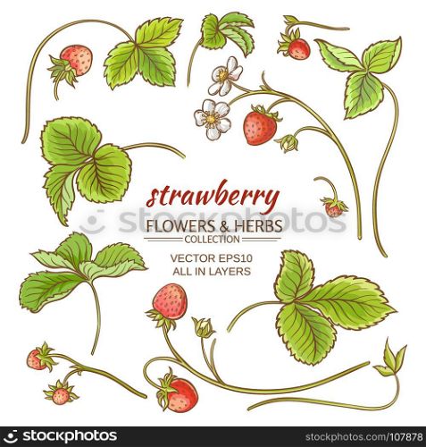 strawberry elements vector set. strawberry elements vector set on white background