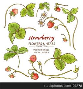 strawberry elements vector set. strawberry elements vector set on white background