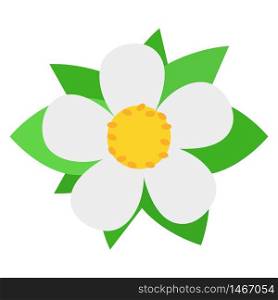 Strawberry flower solated on white background. Flat style. Vector illustration for any design.