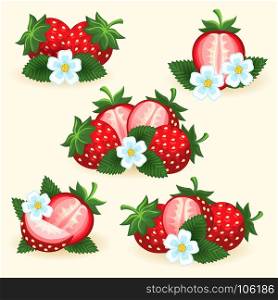 Strawberry freshness fruit set. Strawberry freshness fruit set with fresh slice, leaves and flowers for logo and labels vector illustration