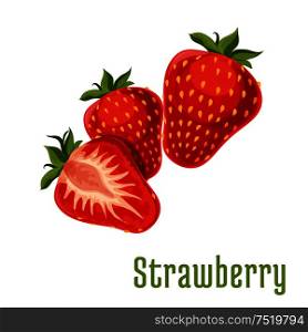 Strawberry fruits. Isolated bunch of strawberries on stem with leaves. Botanical product emblem for juice or jam label, packaging sticker, grocery shop tag, farm store. Strawberry fruits botanical icon