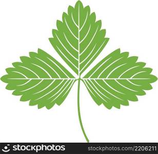 Strawberry green leaf vector illustration