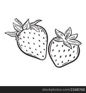 Strawberry hand drawn engraving isolated vector illustration. Pair garden fresh berries sketch. Organic healthy food black line on white background. Strawberry hand drawn engraving isolated vector illustration