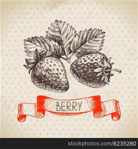 Strawberry. Hand drawn sketch berry vintage background. Vector illustration of eco food