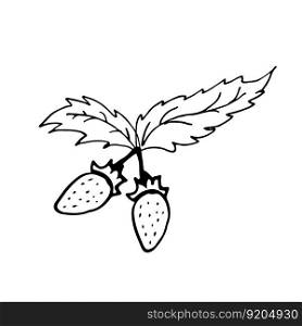 Strawberry in line style. Isolated hand drawing berry vector illustration. Doodle simple outline. Berry for icon, menu, cover, print, poster, cards, web element, social media, card for children.. Strawberry in line style. Isolated hand drawing berry vector illustration. Doodle simple outline.