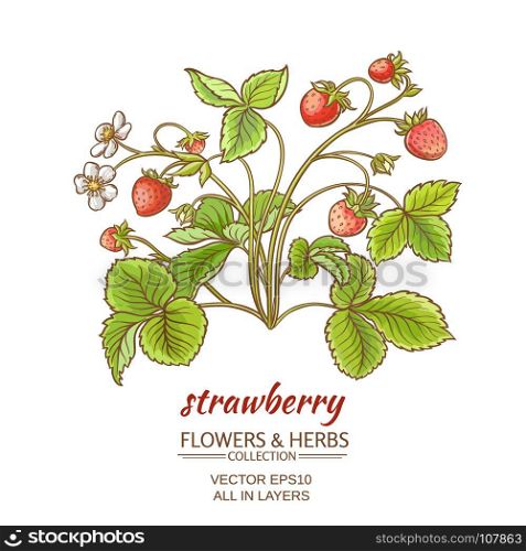 strawberry on white background. vector illustration with strawberry on white background