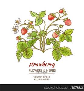 strawberry on white background. vector illustration with strawberry on white background