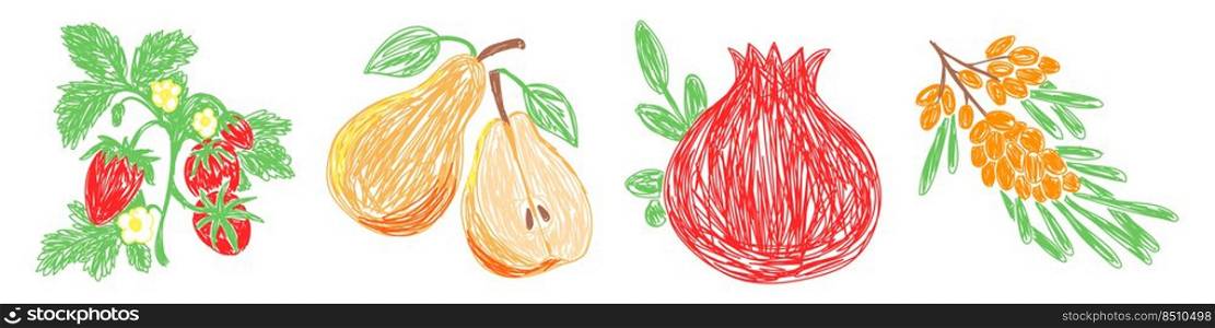 Strawberry, pear, pomegranate and sea buckthorn. Fruit sketch set. Hand drawn vector illustration. Pen or marker doodle.. Strawberry, pear, pomegranate and sea buckthorn. Fruit sketch set. Hand drawn vector illustration. Pen or marker doodle
