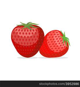 Strawberry. Two fresh red, ripe strawberries on white background. Vector illustration of berries&#xA;