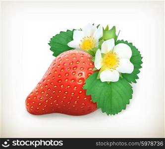 Strawberry with leaves and flowers