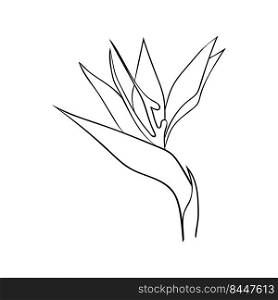 Strelitzia flower or bird of paradise line drawing. Tropical flower bud simple icon for cards and cosmetics