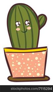 Striped cactus in pink flower pot vector or color illustration