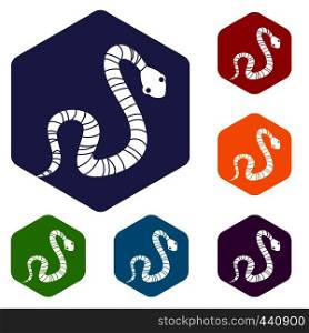 Striped snake icons set hexagon isolated vector illustration. Striped snake icons set hexagon