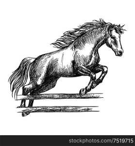 Strong horse runs and jumps over barrier. Trained mustang stallion on hippodrome sport horse races leaping over fence. Vector sketch. Strong horse jumping over barrier