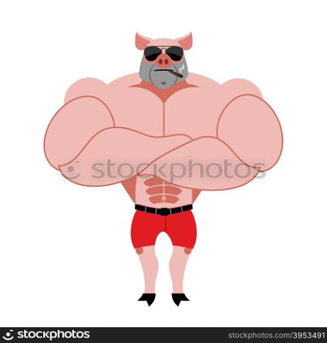 Strong pig bodybuilder with huge muscles. Farm animal athlete. Powerful animal with cigar.