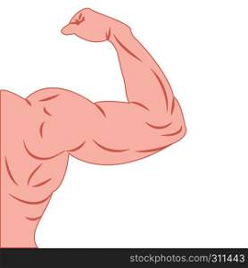 Strong power muscle arms of athlete bodybuilder vector illustration on a white background isolated