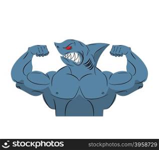 Strong shark athlete. Fish bodybuilder with huge muscles. Sports team mascot. Vector illustration sea dweller&#xA;