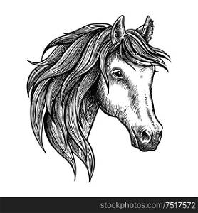 Strongly built and elegant andalusian stallion with thick mane and soft and fluffy ears. Sketched portrait of spanish horse for dressage and show jumping competition symbol or horse breeding theme design. Purebred stallion of andalusian breed sketch