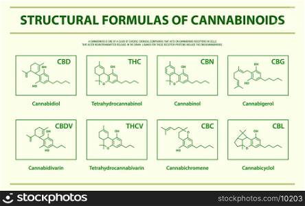 Structural Formulas of Main Natural Cannabinoids horizontal infographic illustration about cannabis as herbal alternative medicine and chemical therapy, healthcare and medical science vector.