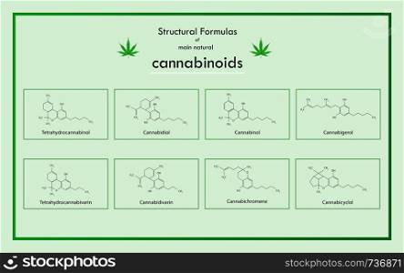 Structural Formulas of Main Natural Cannabinoids illustration about cannabis as herbal alternative medicine and chemical therapy, healthcare and medical science vector.