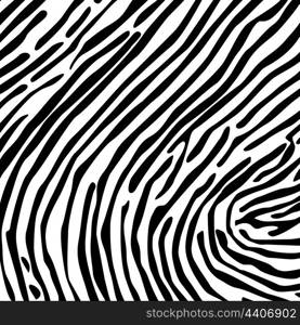 Structure from a skin of a zebra. A vector illustration