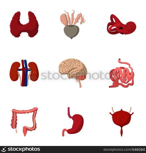 Structure of body icons set. Cartoon illustration of 9 structure of body vector icons for web. Structure of body icons set, cartoon style