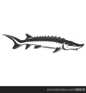 Sturgeon fish icon isolated on white background. Vector illustration