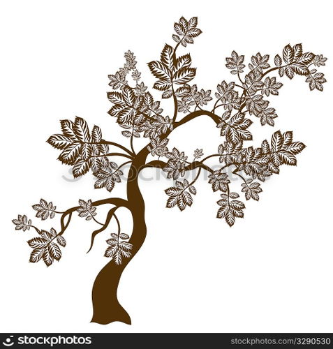 Stylised plant vector