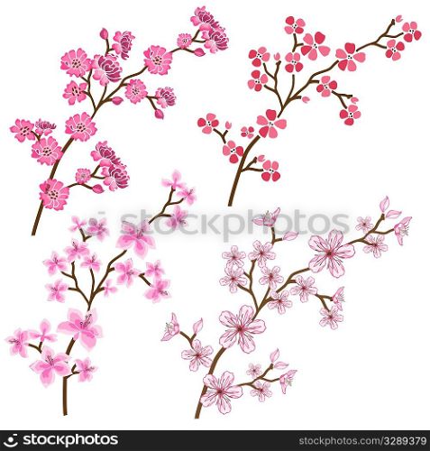 Stylised spring plant vectors