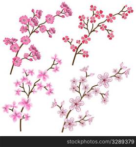 Stylised spring plant vectors