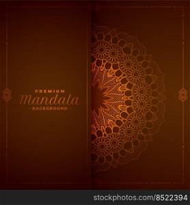 stylish mandala decorative pattern background