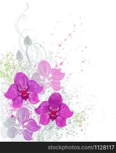 stylized beautiful pink orchid painted bright paint on a white background