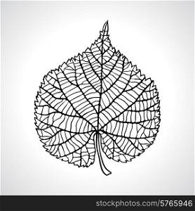 Stylized detail silhouette of leaf isolated on background.
