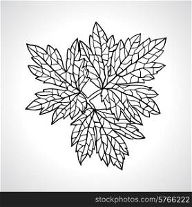 Stylized detail silhouette of leaf isolated on background.