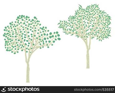 Stylized eucalyptus tree, abstract tree design with leafage.
