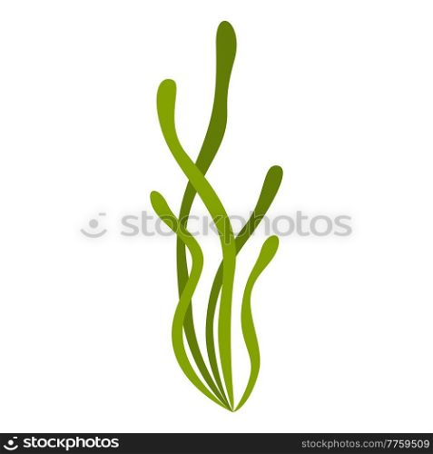 Stylized illustration of algae. Marine flora and natura. Stylized icon.. Stylized illustration of algae. Marine flora and natura.