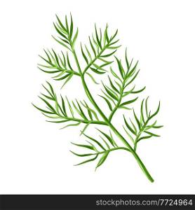 Stylized illustration of dill. Image for design and decoration. Object or icon in hand drawn style.. Stylized illustration of dill. Image for design or decoration.