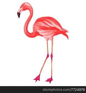 Stylized illustration of flamingo. Image for design and decoration. Object or icon in hand drawn style.. Stylized illustration of flamingo. Image for design or decoration.