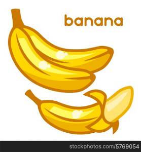 Stylized illustration of fresh bananas on white background.. Stylized illustration of fresh bananas on white background