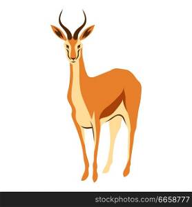 Stylized illustration of gazelle. Wild African savanna animal on white background.. Stylized illustration of gazelle.