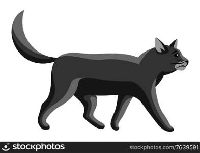 Stylized illustration of going cat. Image of cute kitten pet.. Stylized illustration of going cat.