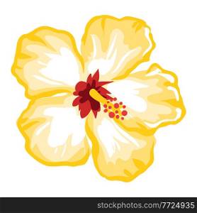 Stylized illustration of hibiscus flower. Image for design and decoration. Object or icon in hand drawn style.. Stylized illustration of hibiscus flower. Image for design or decoration.
