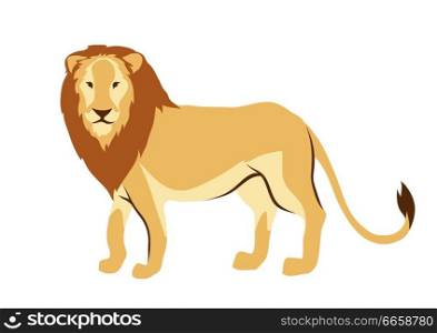 Stylized illustration of lion. Wild African savanna animal on white background.. Stylized illustration of lion.