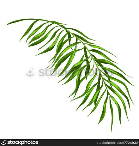 Stylized illustration of palm branch. Image for design and decoration. Object or icon in hand drawn style.. Stylized illustration of palm branch. Image for design or decoration.