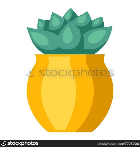 Stylized illustration of succulent in pot. Image for design and decoration. Object or icon in abstract style.. Stylized illustration of succulent in pot. Image for design or decoration.