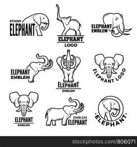 Stylized illustrations of elephants. Templates for logo design elephant animal, wild animal logo vector. Stylized illustrations of elephants. Templates for logo design