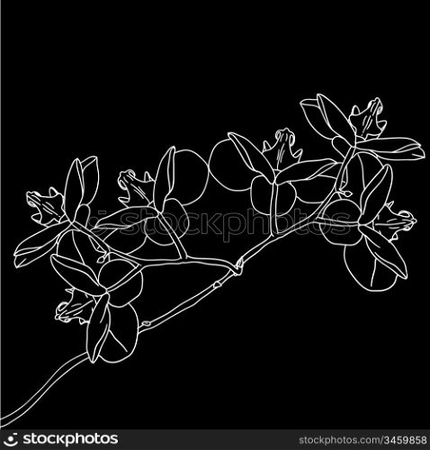 Stylized orchid branch design , vector illustration