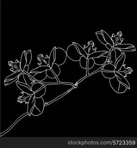 Stylized orchid branch design , vector illustration