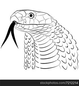 Stylized Snake Head Line Drawing. Snake Head Vector